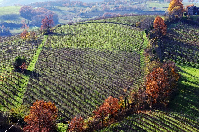 Tour enogastronomici con NCC Autotransfer Verona